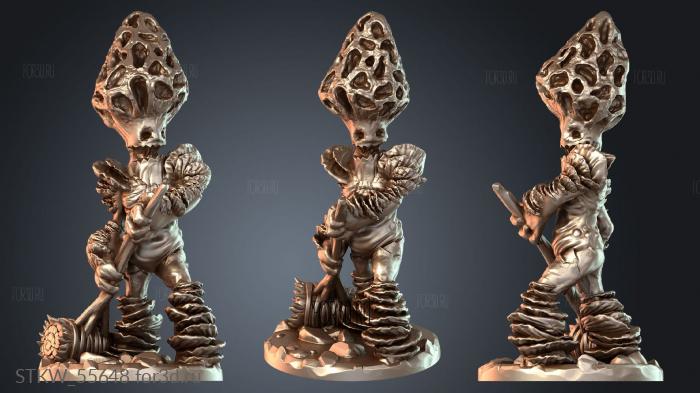 STKW_55648 stl model for CNC