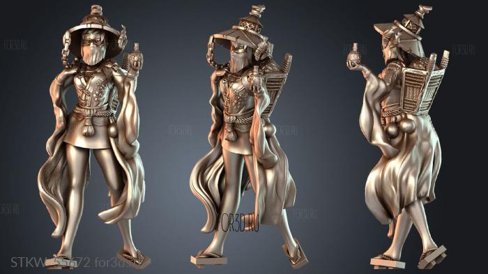 STKW_55672 stl model for CNC