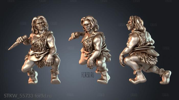 STKW_55733 stl model for CNC