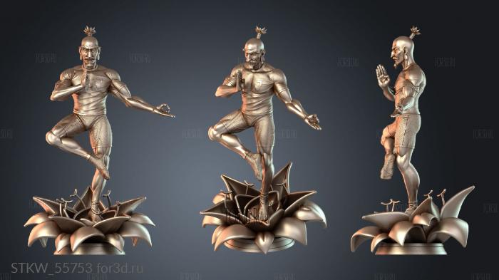 STKW_55753 stl model for CNC