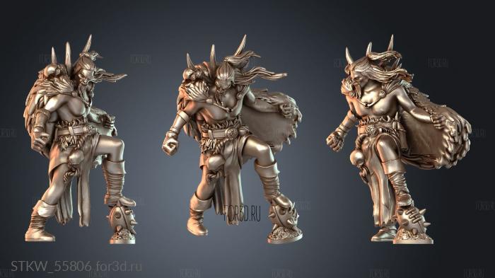 STKW_55806 3d stl модель для ЧПУ