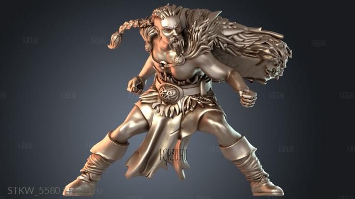 STKW_55807 3d stl модель для ЧПУ