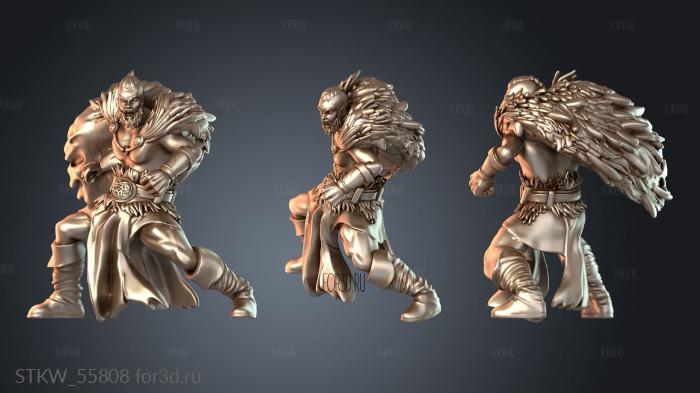 STKW_55808 3d stl модель для ЧПУ