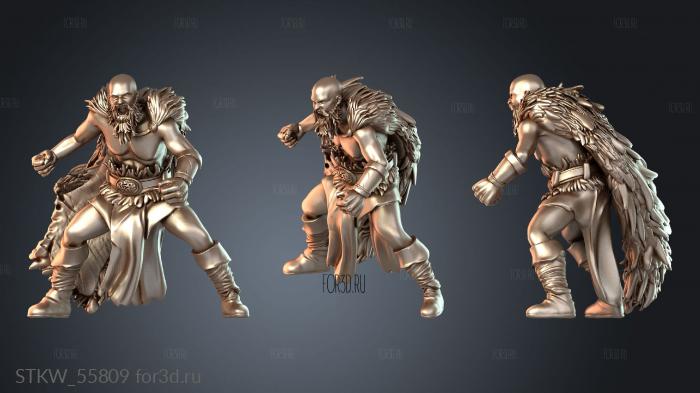STKW_55809 3d stl модель для ЧПУ