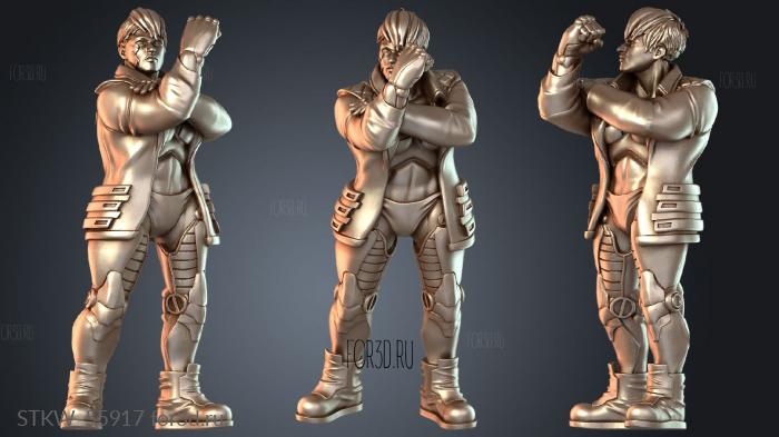 STKW_55917 3d stl модель для ЧПУ