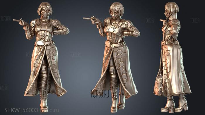 STKW_56003 3d stl модель для ЧПУ