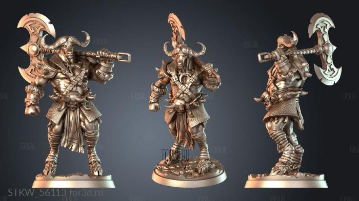 STKW_56113 stl model for CNC