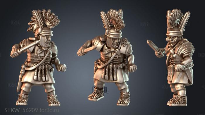 STKW_56209 stl model for CNC