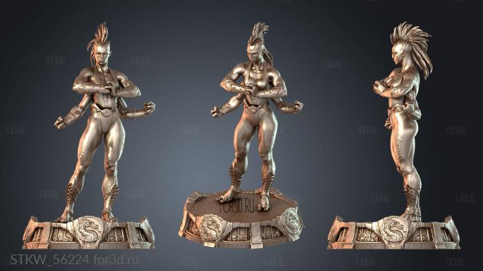 STKW_56224 stl model for CNC