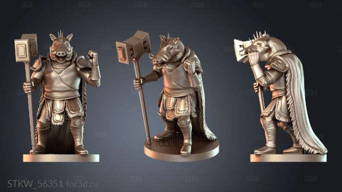 STKW_56351 stl model for CNC