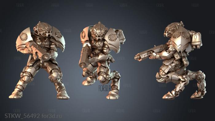 STKW_56492 stl model for CNC