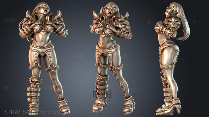 STKW_56499 stl model for CNC