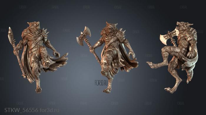 STKW_56556 3d stl модель для ЧПУ