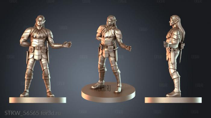 STKW_56565 3d stl модель для ЧПУ