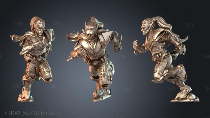 STKW_56618 3d stl модель для ЧПУ
