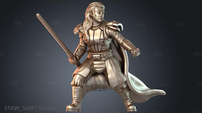 STKW_56697 stl model for CNC