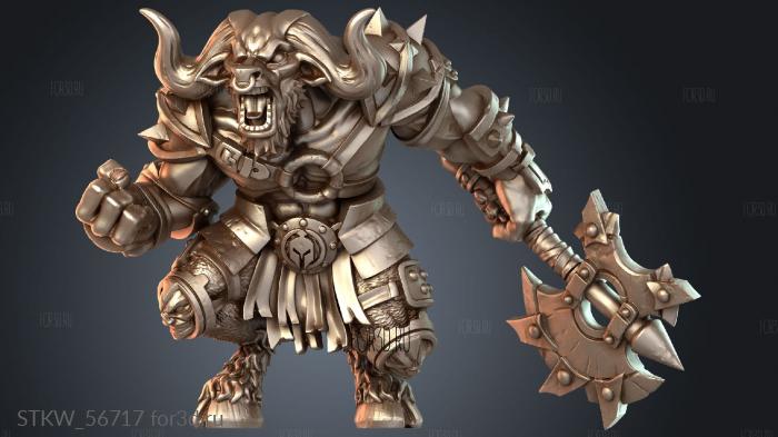 STKW_56717 stl model for CNC