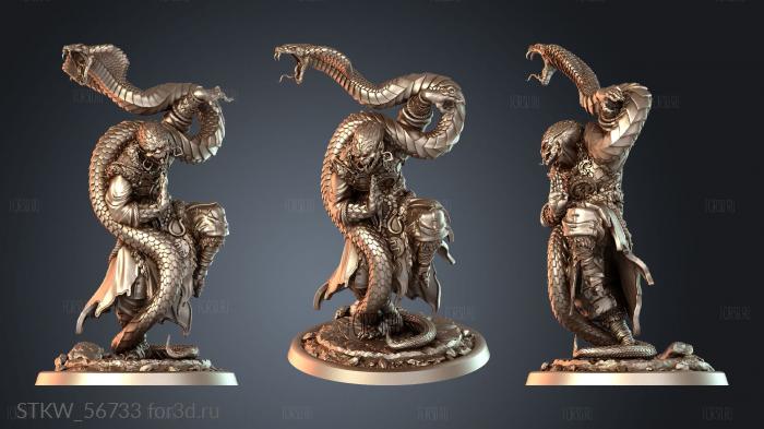 STKW_56733 stl model for CNC