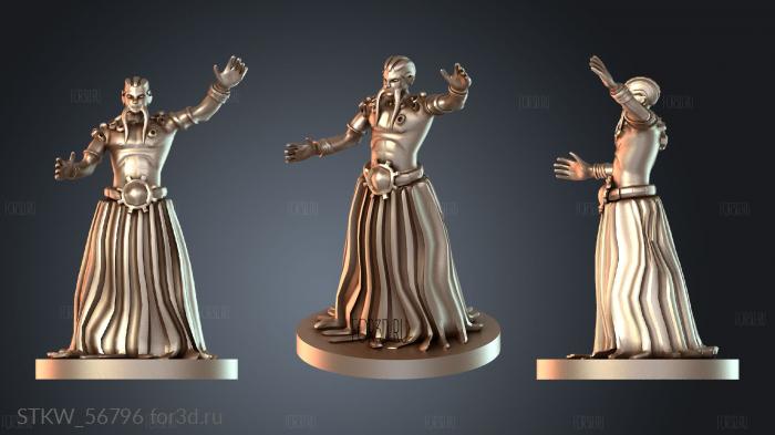 STKW_56796 stl model for CNC