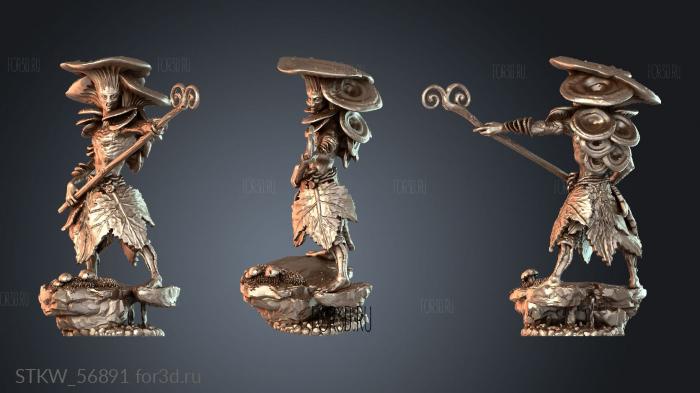 STKW_56891 stl model for CNC