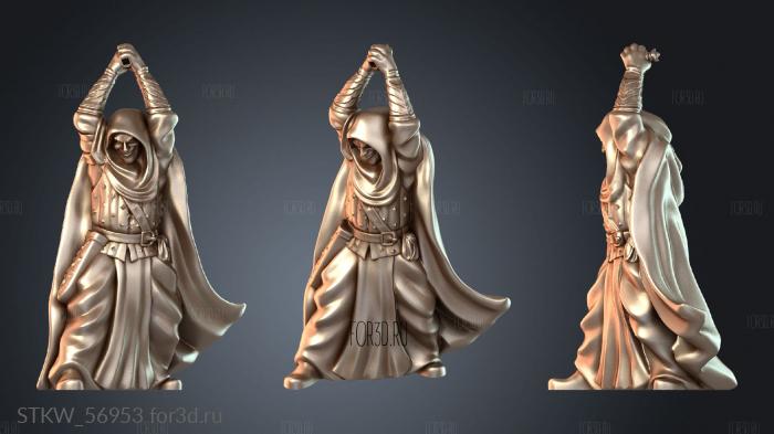 STKW_56953 stl model for CNC