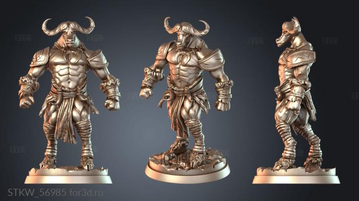 STKW_56985 3d stl модель для ЧПУ