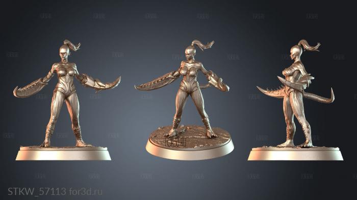 STKW_57113 3d stl модель для ЧПУ