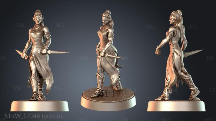 STKW_57348 3d stl модель для ЧПУ