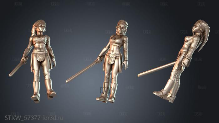 STKW_57377 3d stl модель для ЧПУ