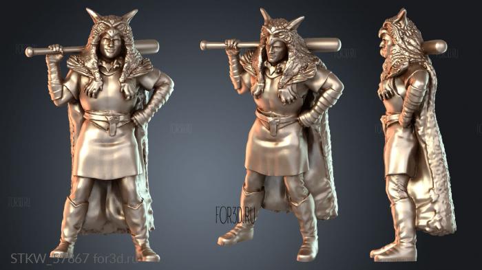 STKW_57867 3d stl модель для ЧПУ