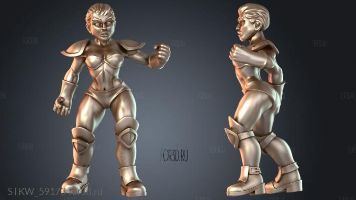 STKW_59173 stl model for CNC