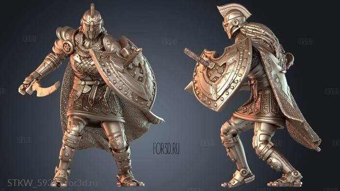 STKW_59343 stl model for CNC