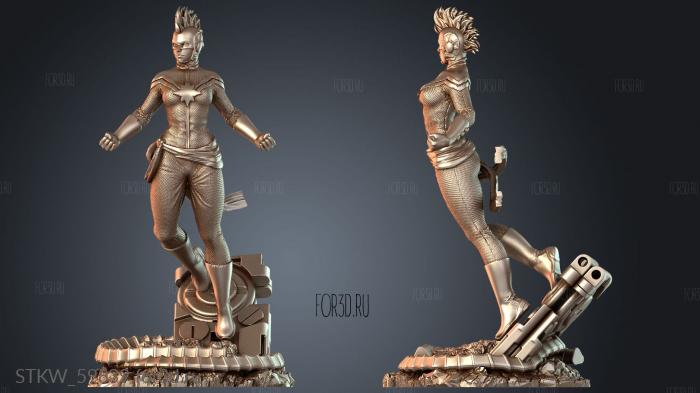 STKW_59839 stl model for CNC