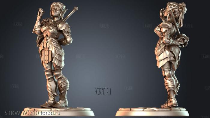 STKW_60310 stl model for CNC