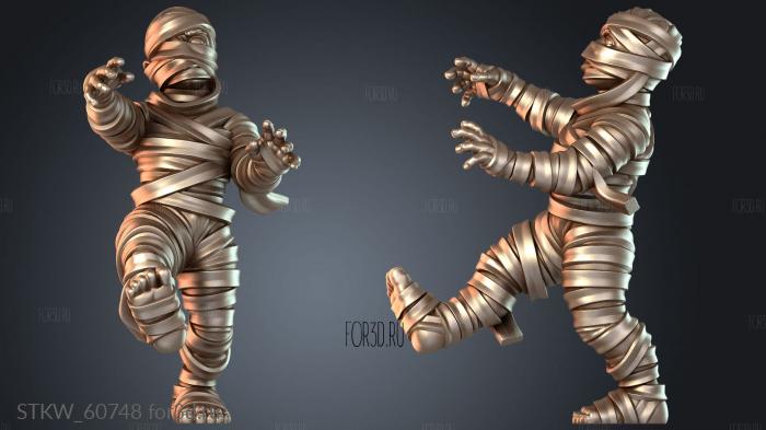STKW_60748 3d stl модель для ЧПУ
