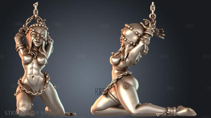 STKW_63159 3d stl модель для ЧПУ