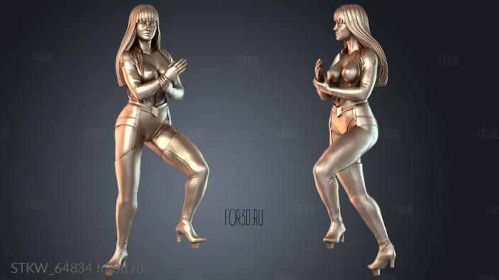 STKW_64834 3d stl модель для ЧПУ