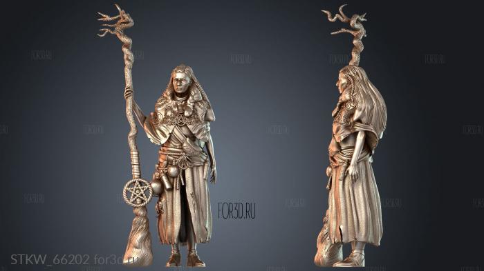 STKW_66202 3d stl модель для ЧПУ