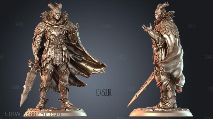 STKW_66882 3d stl модель для ЧПУ