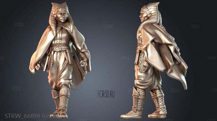 STKW_66898 3d stl модель для ЧПУ