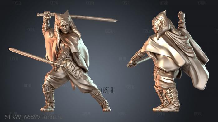 STKW_66899 3d stl модель для ЧПУ