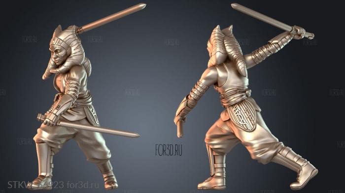 STKW_66923 3d stl модель для ЧПУ