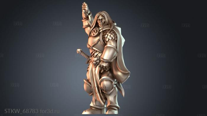 STKW_68783 3d stl модель для ЧПУ