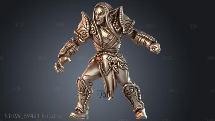 STKW_69451 3d stl модель для ЧПУ