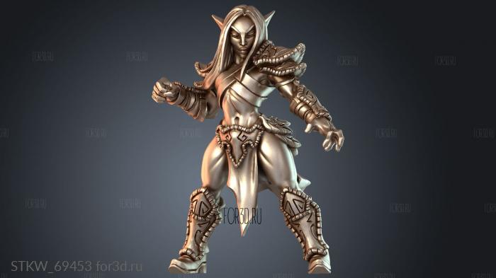 STKW_69453 3d stl модель для ЧПУ