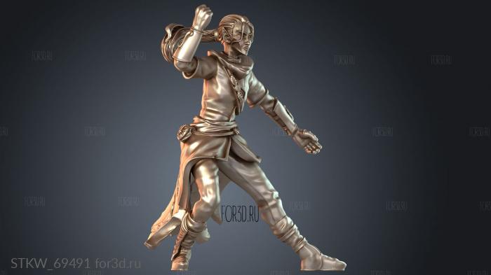 STKW_69491 3d stl модель для ЧПУ
