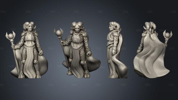 Gotten Games Denizens Of Hell Cambion Mage stl model for CNC