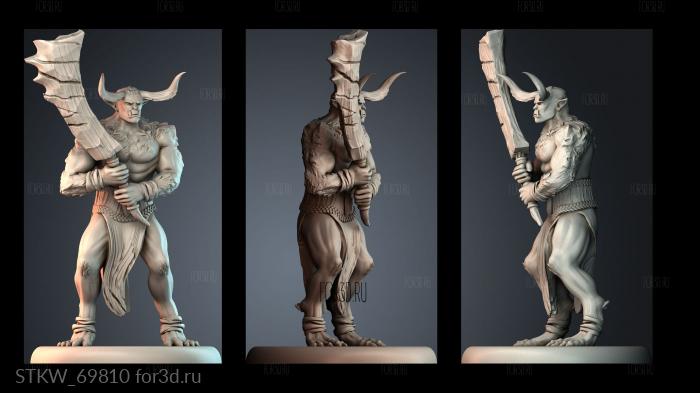 STKW_69810 stl model for CNC