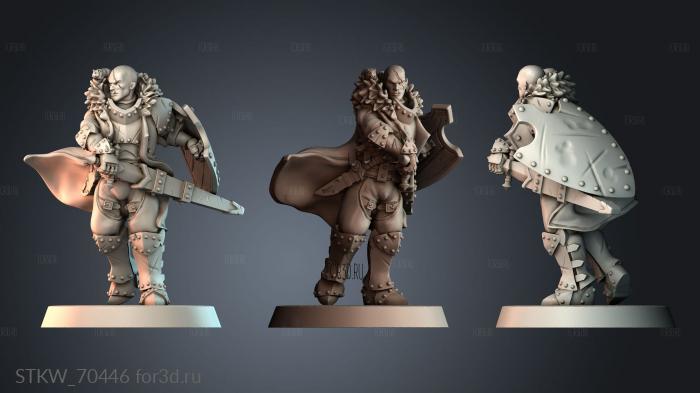 STKW_70446 stl model for CNC