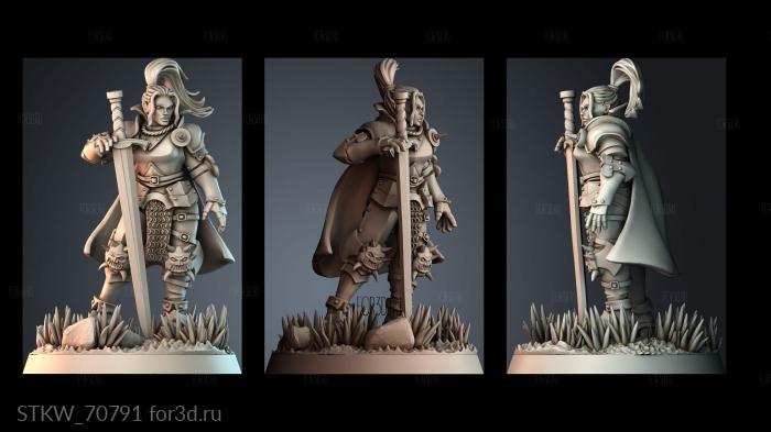 STKW_70791 stl model for CNC